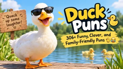 Funny duck puns graphic with a smiling duck in sunglasses beside a pond
